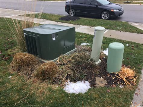 green pack utility box